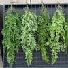 Realistic Plastic Hanging Vines with Faux Herbs - Durable Greenery Curtain for Restaurant Facades & Shopping Mall Decor