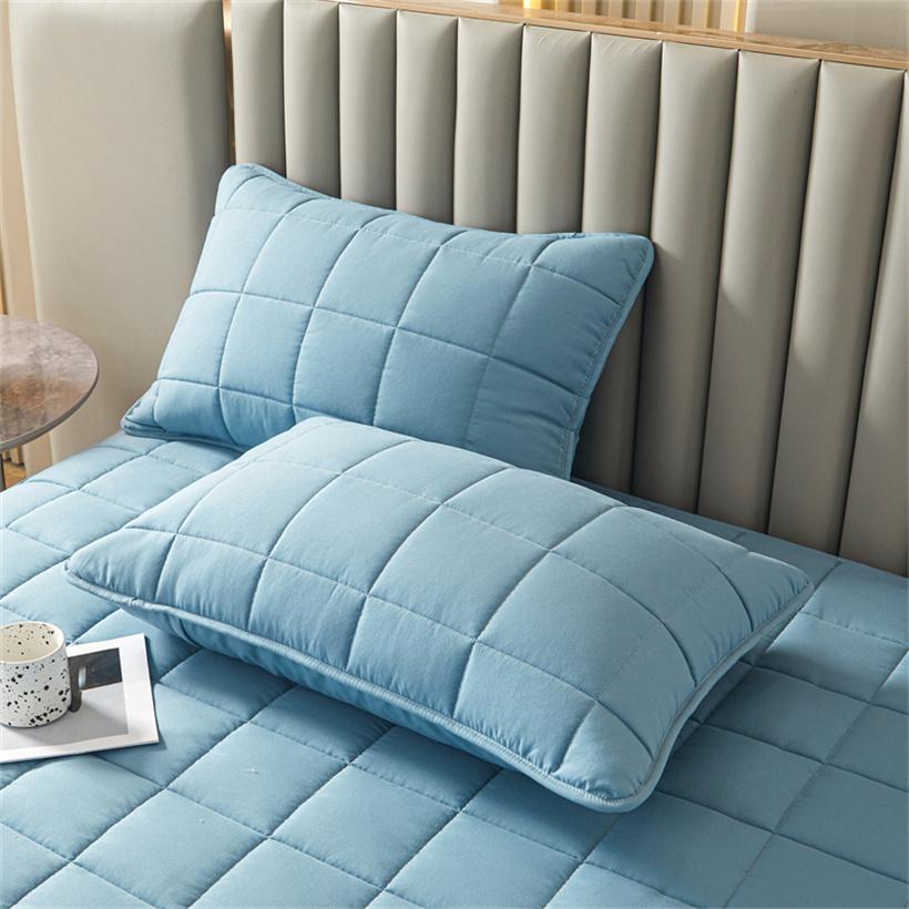 

2 шт. стеганая наволочка, мягкая, утолщенная, однотонная, антиклещевая, антибактериальная, удобная и дышащая наволочка 48x74cm небесно-голубой