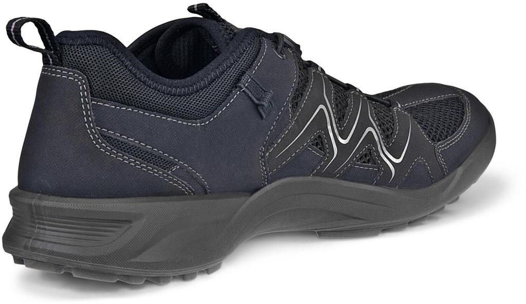 Ecco Terracruise LT Trekking Shoes (825774) Black/black