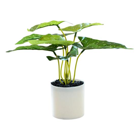 Artificial Plant Bonsai Unfading Decorate Exquisite Details Exquisite Small Tree Simulation Pot Plant for Home