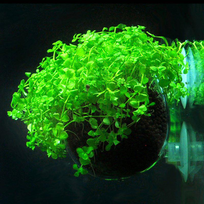 Kulturbecher Wasserpflanzenbecher Topf mit Saugnäpfen für Aquarium