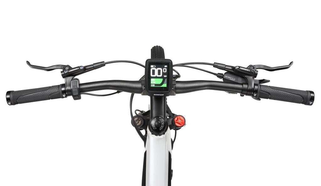 CYCLEFORT L5 250W Mid-Drive Electric Mountain Bike – 36V Samsung Battery, 9-Speed Shimano, 100km Range