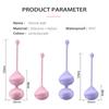 Vaginal Kegel Silicone Balls Muscle Exerciser