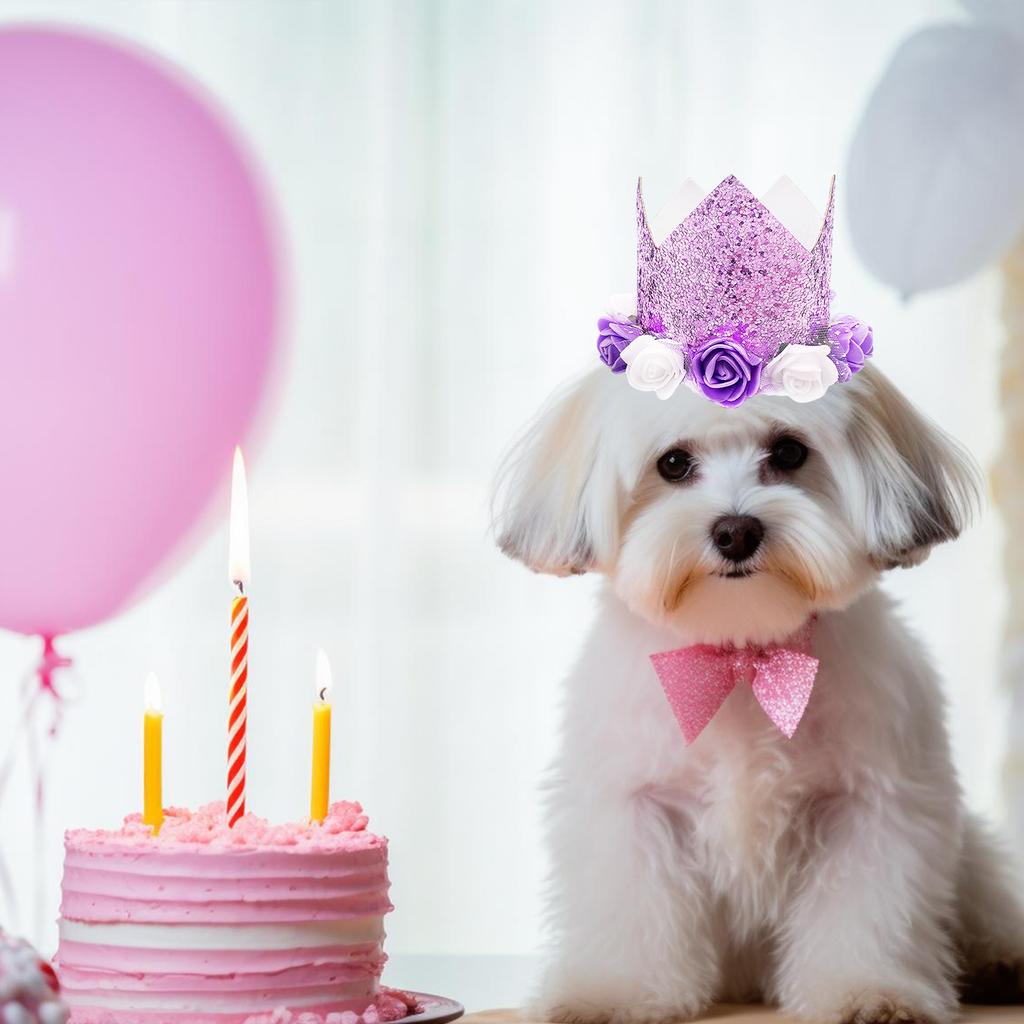 DIY Crafts Supplies For Birthday Party Decorations Kids Birthday Birthday Hat Dog Birthday Baby