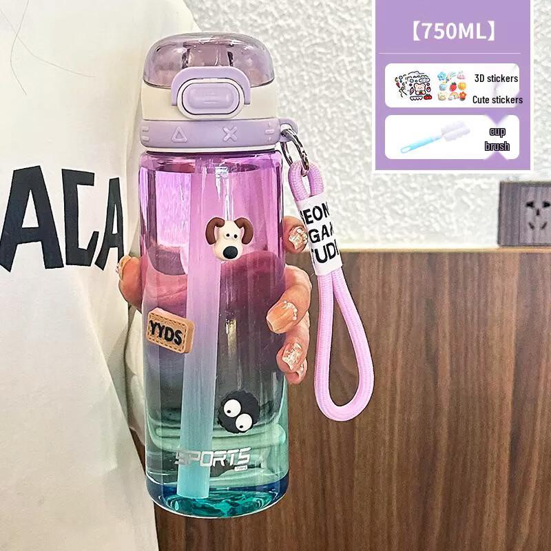 

Shangqi 750ml Gradient Glass Straw Water Bottle