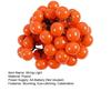 Persimmons String Light Waterproof Battery Operated Artificial Fruit Lights for Outdoor Garden Christmas Tree Decor