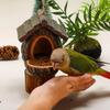 Bird Care Station Resin Hummingbird Feeder Lifelike Weather-Resistant Wildlife Habitat Decorative Natural Look Nesting Box Patio