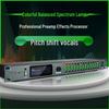 Professional Karaoke Stage & Home Audio Processor with Preamp, Anti-Howl, Equalizer, and Reverb Effects