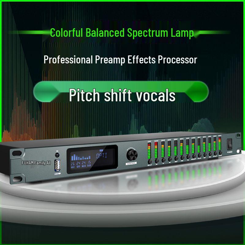 Professional Karaoke Stage & Home Audio Processor with Preamp, Anti-Howl, Equalizer, and Reverb Effects