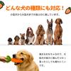 GHOSTCAT Dog Chew Makes Dog Teeth Stress Lack of Suitable for Medium and Large Educational Pet Orange Toy, Toy, Sounds, Sturdy, Durable, Carrot, Toy,