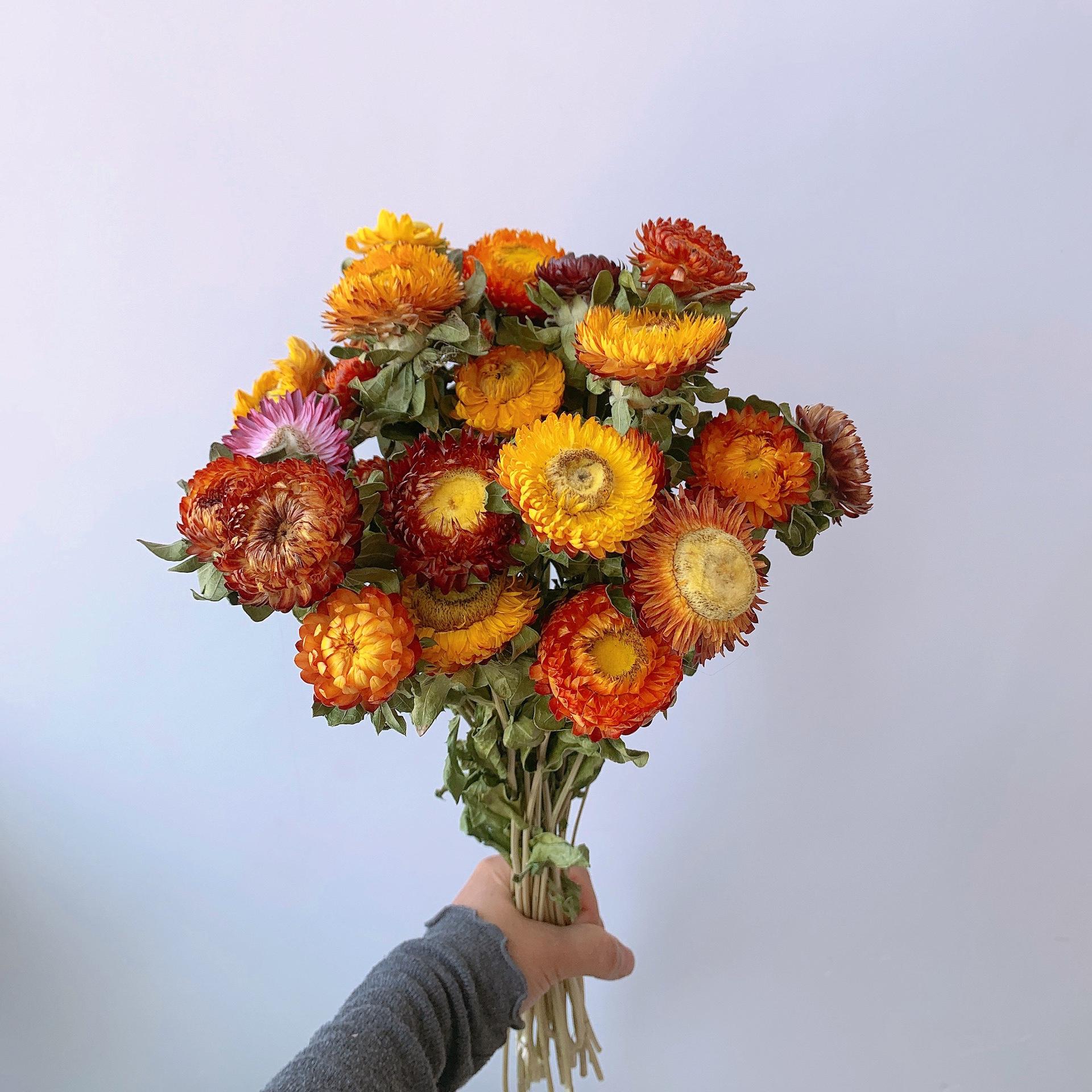 Colorful chrysanthemum dried flower bouquet, pineapple chrysanthemum, straw chrysanthemum, small daisy dried flower bouquet decoration