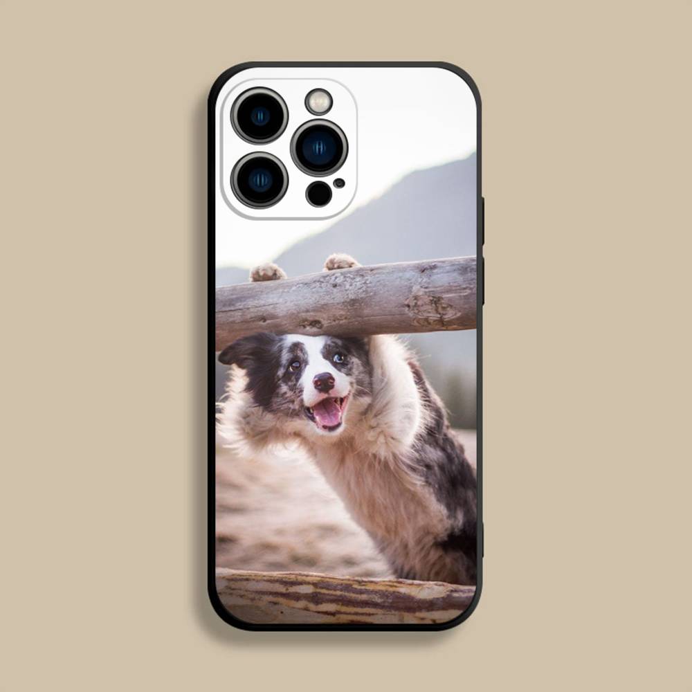 Border Collie Dog Phone Case For iPhone 17,16,15,14,13,12,Pro,Max,Plus,E,SE4,Air,Mini Black Soft Cover