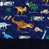 COLORFUL CANDY STYLE Lesson Bag for School Dinosaur Continent N0234300 Boys, Quilted, Handbag, Bag, Kids, Discover! Explore! (Navy)