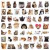 Lot de 50 Autocollants Emojis Chat Internet: Décoration Tendance pour Skateboards, Bouteilles d'Eau, Valises et Plus