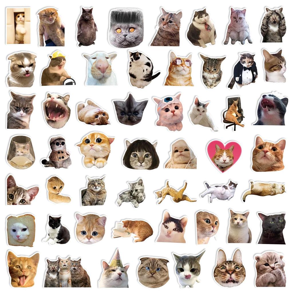 Lot de 50 Autocollants Emojis Chat Internet: Décoration Tendance pour Skateboards, Bouteilles d'Eau, Valises et Plus