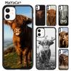 Süße Hochlandkuh Handyhülle Für iPhone 17 Air 16 pro max 15 14 plus 12 13 Hülle Cover coque