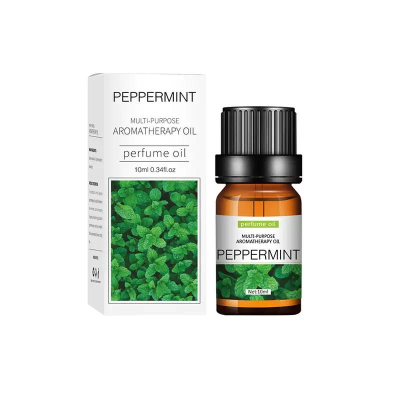 Water-Soluble Aromatherapy Essential Oil 10ML for Humidifiers