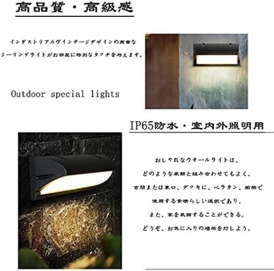 Tniopslife LED Entrance Light, Porch Light, Wall-Mounted Lighting, Outdoor Light (Warm White)