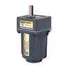 GPG Taibang 15W Adjustable/Reversible Gear Reduction Motor, Forward/Reverse, 3RK15GNC/3RK20GN-C