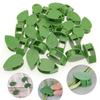 10PCS Equipment for Plants In The Garden Gadgets Plant Support Stakes Climbing Plant Vegetable Gardening Articles Tomato Clips