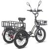 Elektrofahrrad Fafrees 20" 750W Motor Elektrisches Lastenrad 48V 21AH Höchstgeschwindigkeit 30km/h City Ebike Für Erwachsene Zuladung 180kg F20 Mate