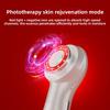 New Portable Face Introducer Temperature Lifting Vibration Massage Face Cleansing Beauty Instrument