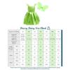 Dressy Daisy Princess Green Fairy Dress with Butterfly Wings for Toddler Party Fancy Sizes Girls, Halloween, Birthday, Dress, 5-6