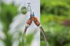 Ogs - Double Valve With 1' Thread And 3/4' Adapter - Hg-00940-26