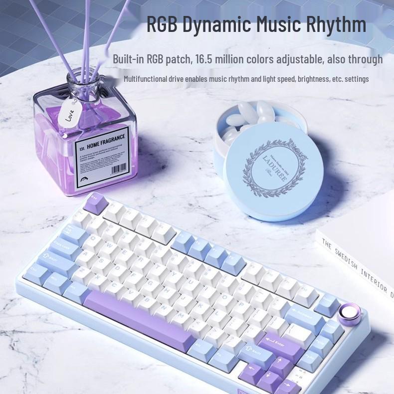 RKR75 Bluetooth Tri-Mode RGB Hot-Swappable Mechanical Keyboard for Esports