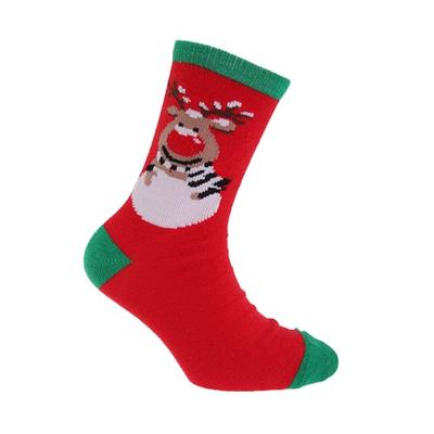 Childrens/Kids Christmas Socks