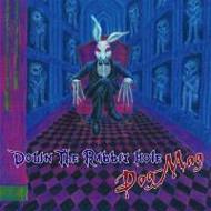 

CD DOG-MAG - Down The Rabbit Hole SRCD012 slumber records 2014 Japan ObiRock Used