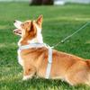 Dog Harness | Puppy Harness and Traction Rope | Adjustable Small Dog Harness Breathable Lightweight Vest Pet Lead Combo