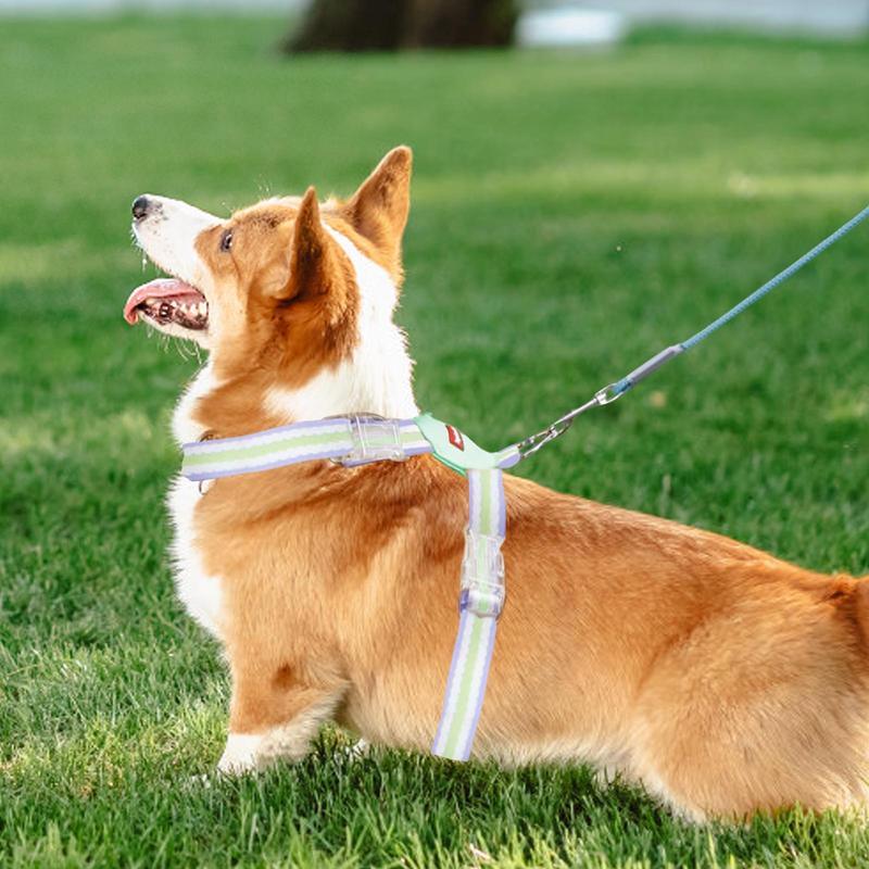 Dog Harness | Puppy Harness and Traction Rope | Adjustable Small Dog Harness Breathable Lightweight Vest Pet Lead Combo
