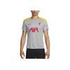 Liverpool Dri-Fit FW24 F.C. Strike Third Knit Pullover Short Sleeve Football Shirt Men Tops Light-Smoke-Grey FQ2611-078
