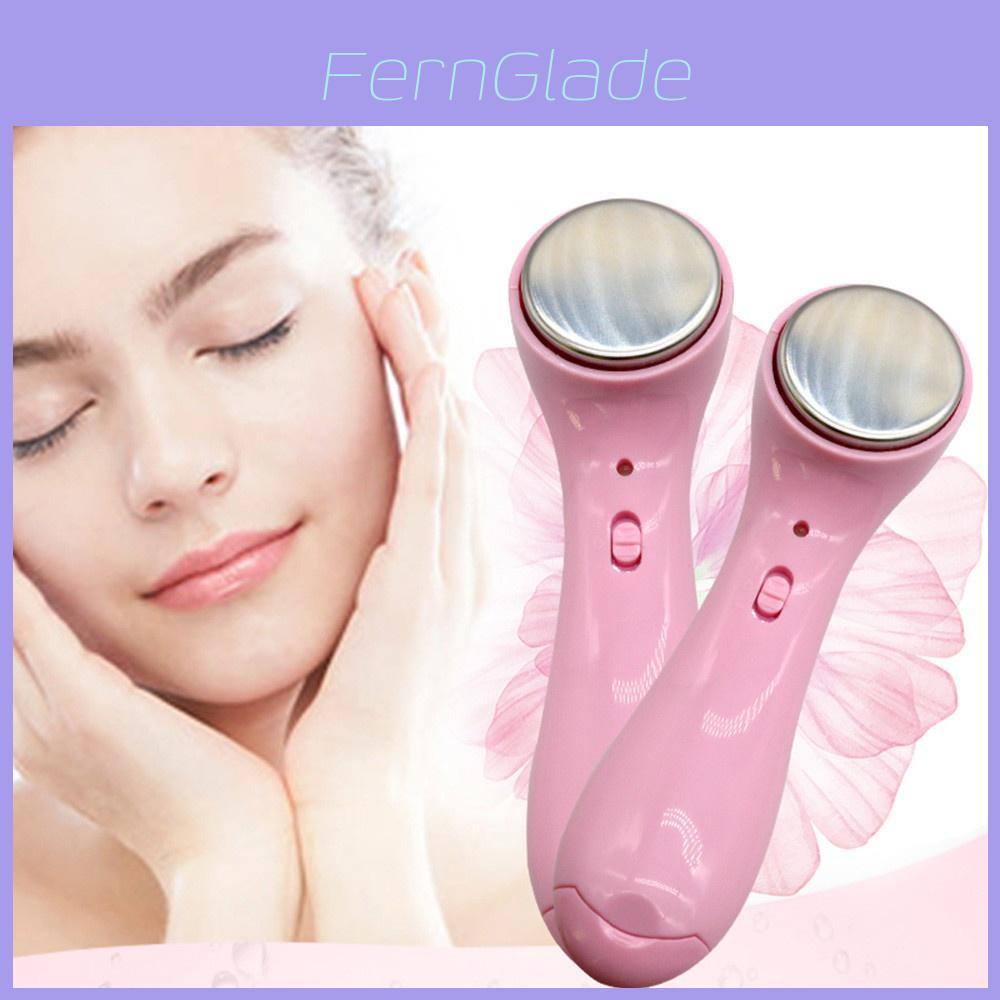 Advanced Multifunctional Electric Ion Import Export Device For Facial And Hand Care