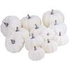 12Pcs White Artificial Pumpkins Assorted Bulk Table Decor Lifelike for All Hallows Day Fall Harvest 