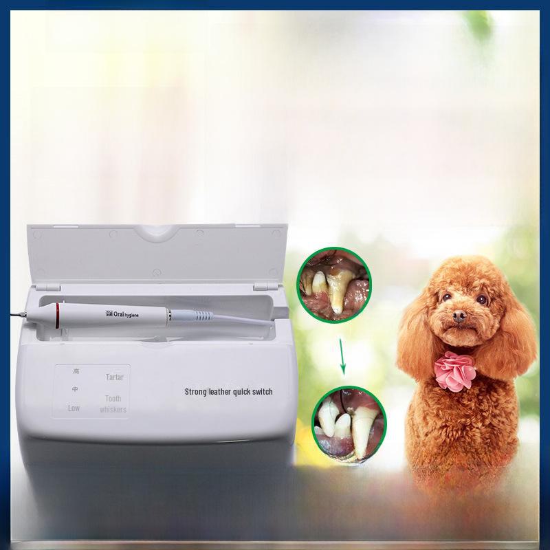 מנקה שיניים אולטרסאונד לחיות מחמד: הסרת אבנית וטיפול בריח פה לכלבים