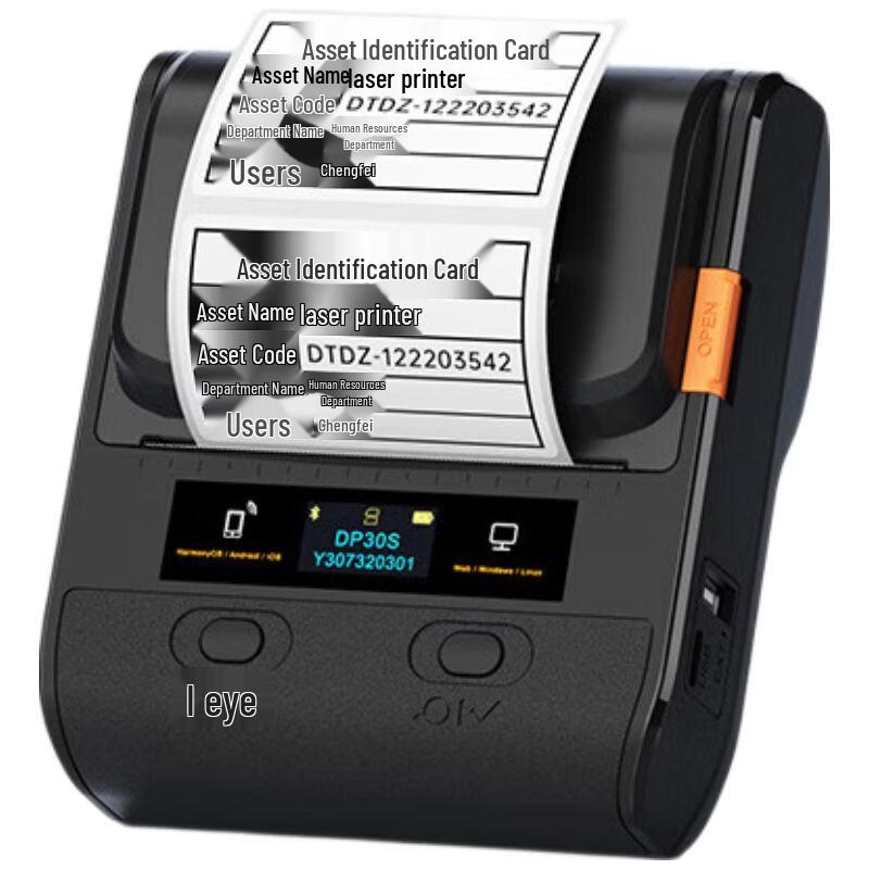 Detong DP30S Portable Label Printer CN plug (adapter included)