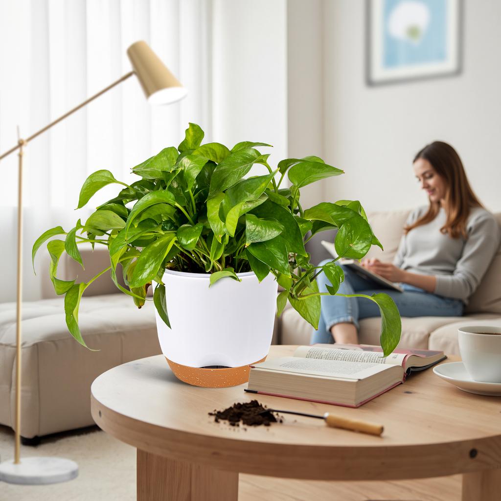 2PCS Orchid Pots with Holes for Repotting Flower Pot Plastic Orchid Pot Inner Orchid Planter Self Watering Plant Pot with Inje