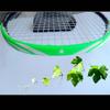 Wear Resistant Badminton Racket Head Edge Protector Racquet Protective Sticker  Badminton Racket