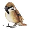 BH7019 HANSA Spatz 10