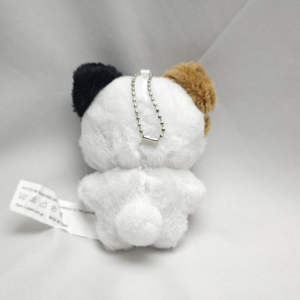 EN Liang Zhenyuan Shen Zai Lun Plush Keychain Doll - Jay Park & Chengxun Edition