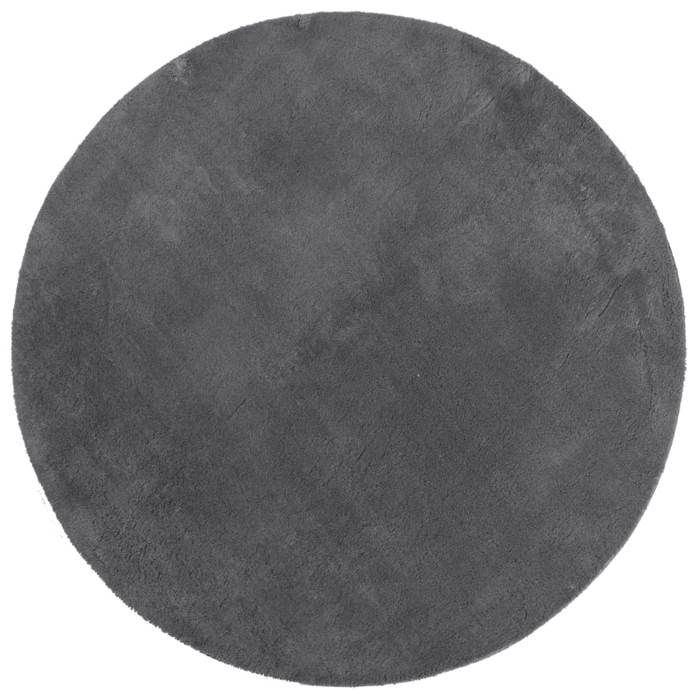 VidaXL Tapis à Poils Courts Doux et Lavable, Moquette de Sol, Tapis de Zone, Carpette de Salon Salle de Séjour, Moderne, 375011