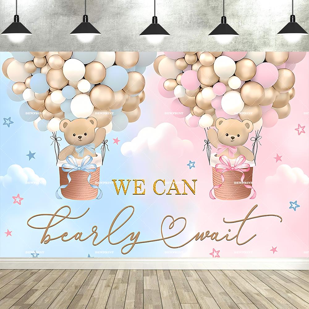 Dewprint Gender Reveal Backdrop Pink or Blue Baby Shower Decoration Banner Pink Blue Clouds Stars Balloons Photography Prop