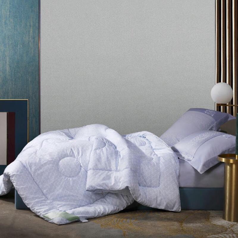 Mercury Home Textiles DH Negativ-Ionen Vier Jahreszeiten Steppdecke