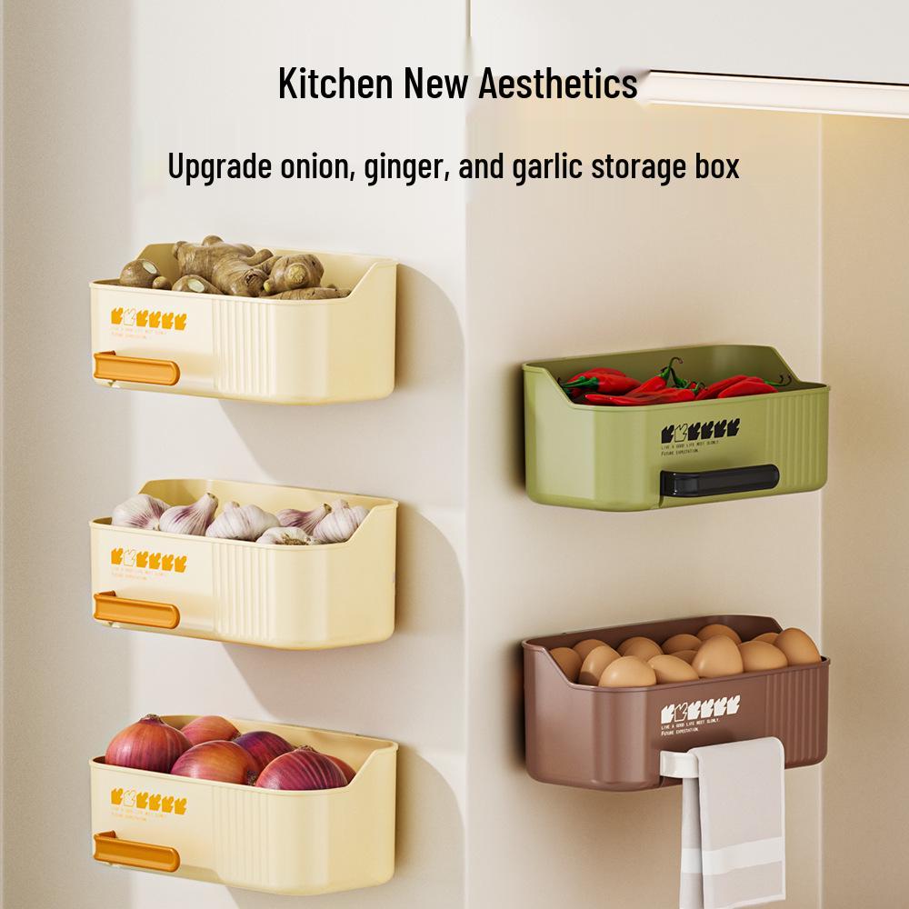 Wall-Mounted Kitchen Spice & Vegetable Storage Rack