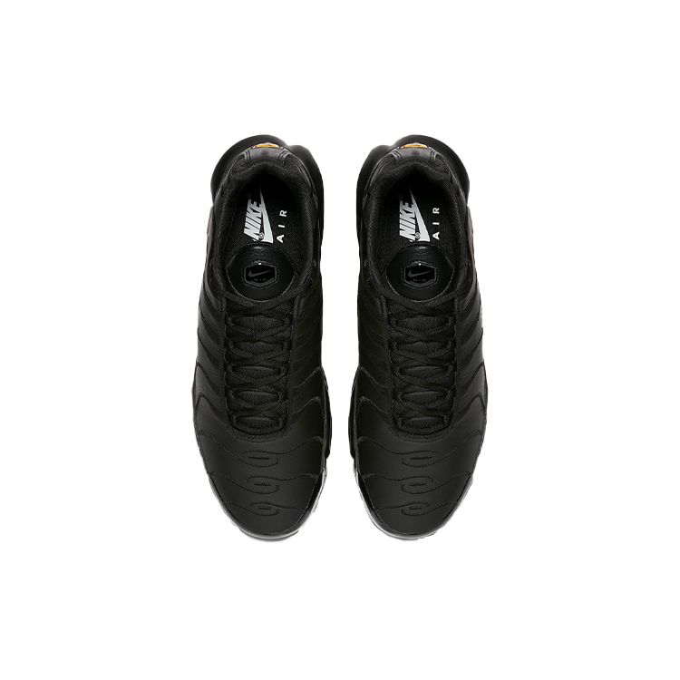 Nike Air Max Plus TN Triple Black Men Sneakers Black-Black AJ2029-001