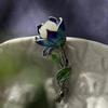 Řemeslo Přírodní Chalcedon Magnolia Květ Brož Smalt Porcelán Čínský Retro Vinutí Jedinečný Designér Značka Šperky