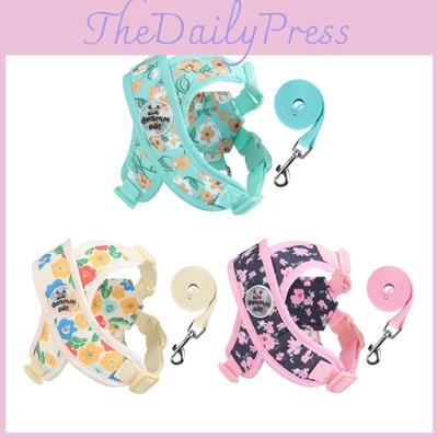 Polyester Pet Harness With Adjustable Leash For Outdoor Walks