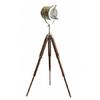 The Floor Lamp Will Bring a Touch of Sophistication To Any Living Room.